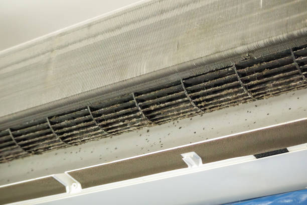 Best Best Air Duct Cleaning Company  in Pemberville, OH